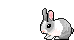 bunny hop