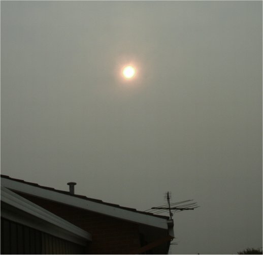 SmokeSun.jpg