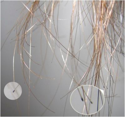 Split ends.jpg