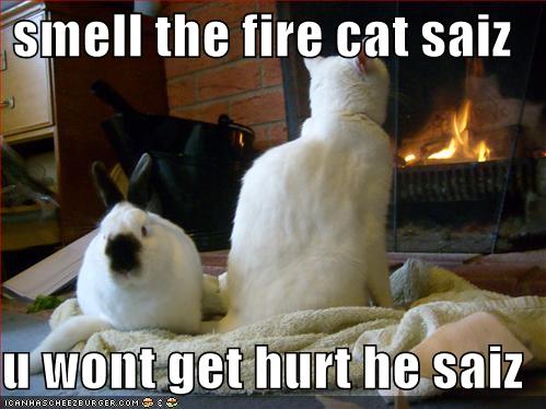 sooty