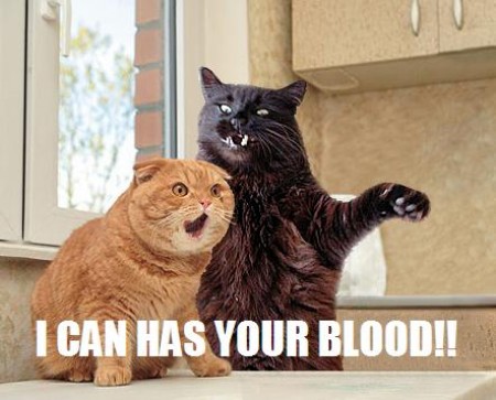 lolcatsdotcomgcv7enhdqzqhltbb.jpg