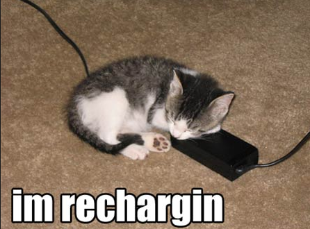 lolcat battery.png