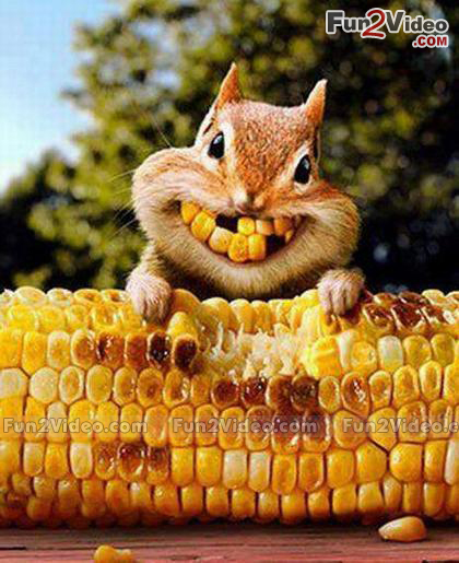 corny