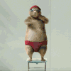 gif-857682.gif
