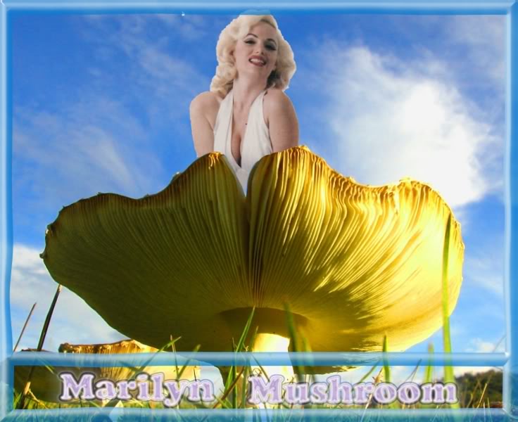 MarilynMushroom.jpg