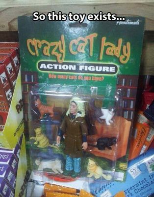 cat lady.jpg