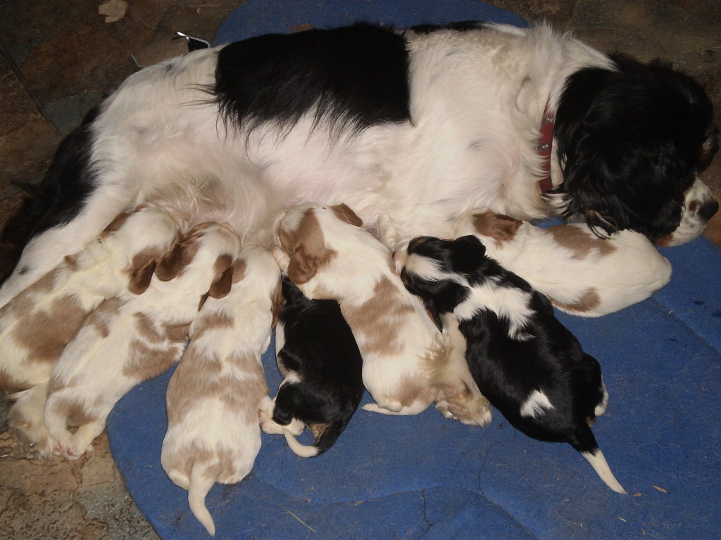 millie and family.jpg