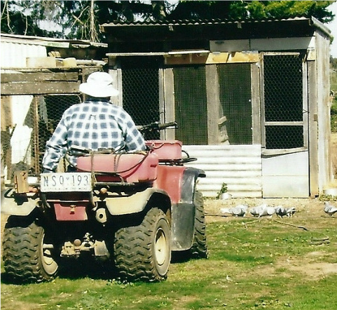 8f48c24e.jpg
