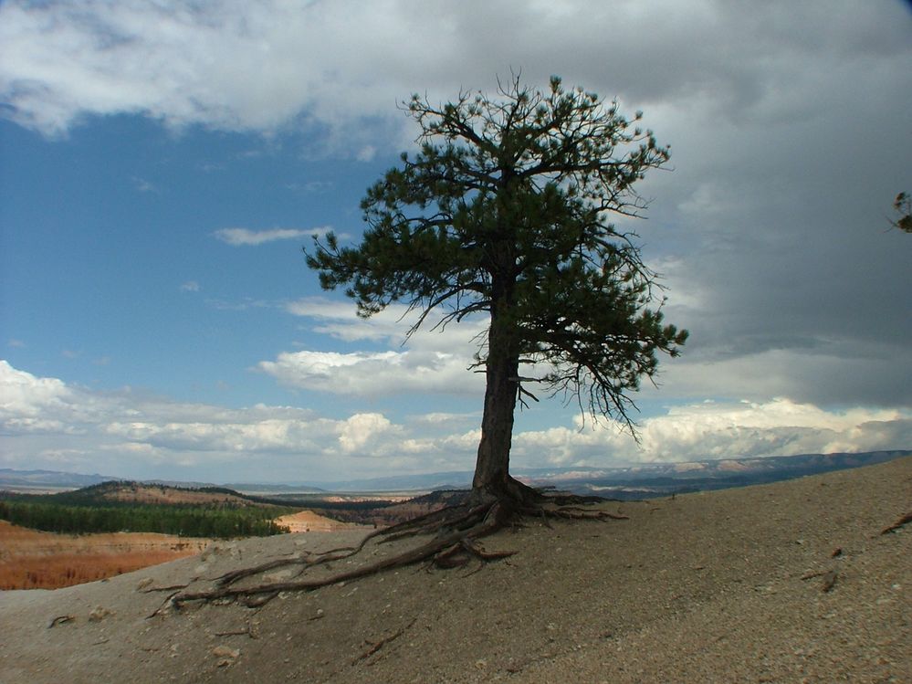 DSCF4638.JPG