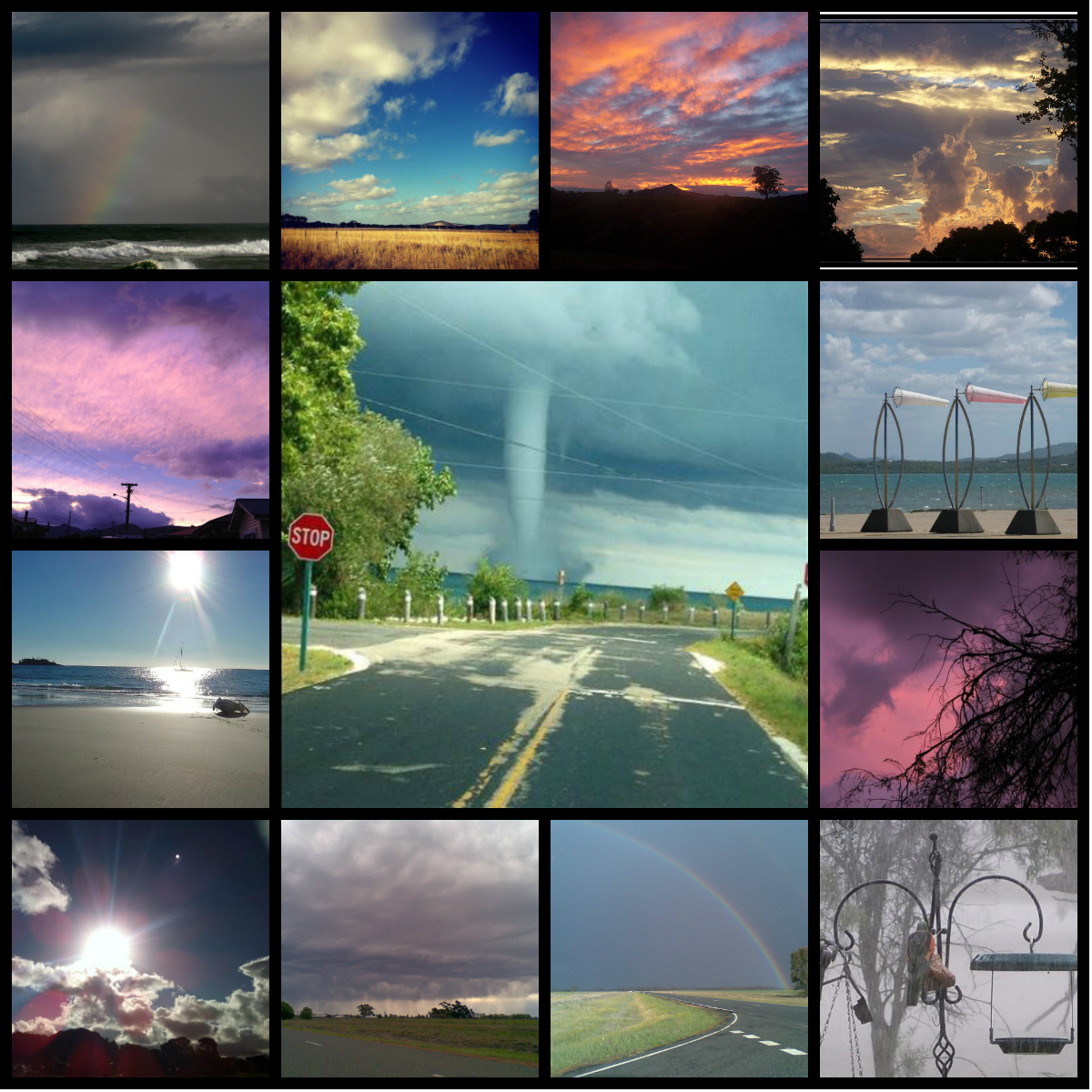 Weather collage.jpg
