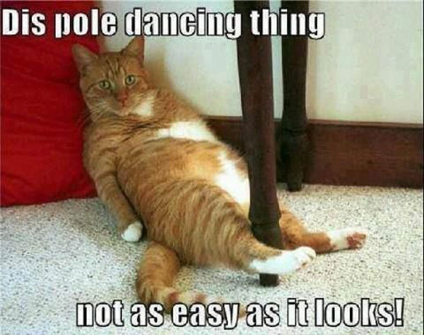 funny-dis-pole-dancing-thing-is-not-as-easy-as-it-looks-01.jpg