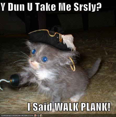 piratekitten.jpg