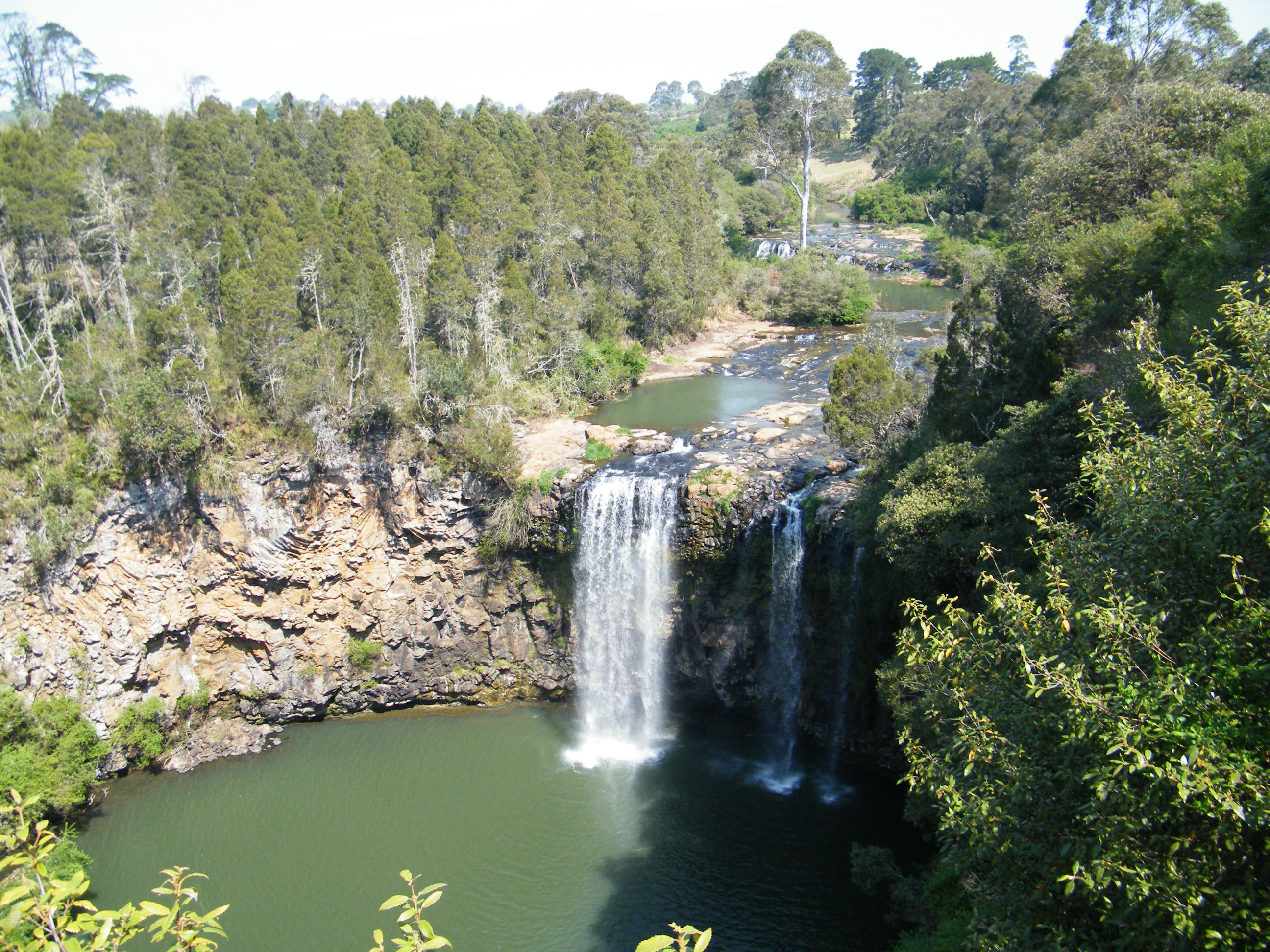 DSCF0694.JPG