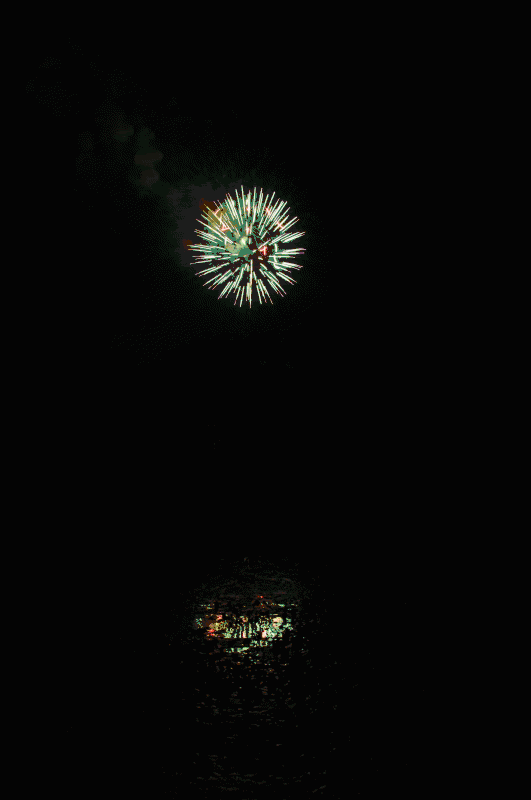 Animated_Fireworks.gif