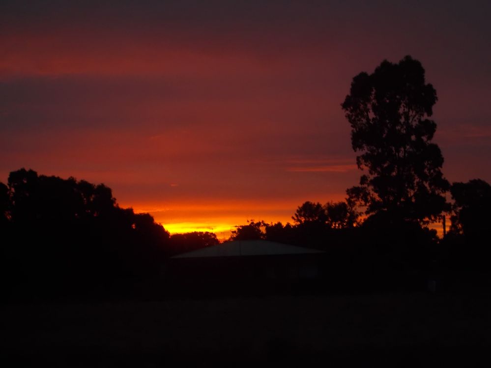 DSCN0239.JPG