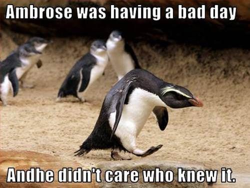 cute-captions-12.jpg