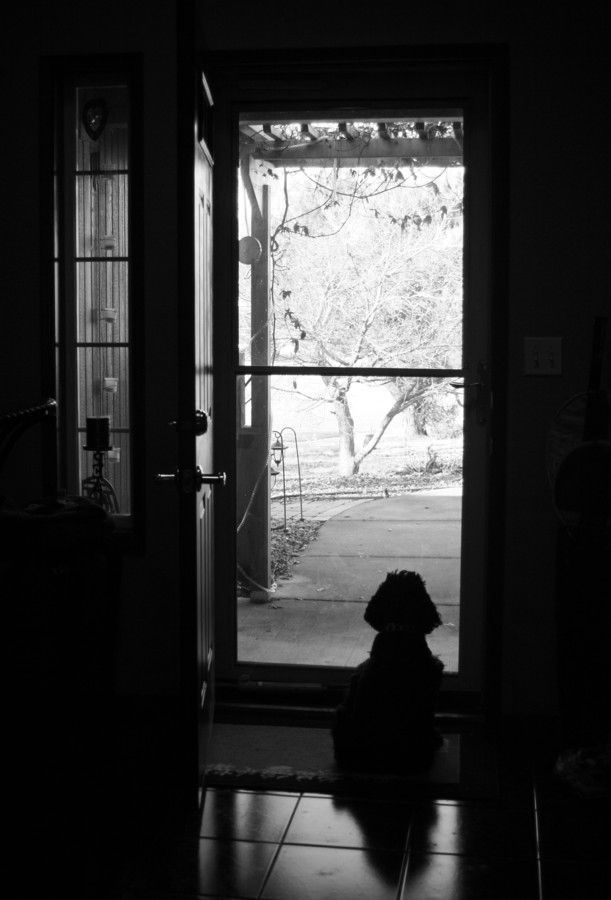 frontdoorbw.jpg