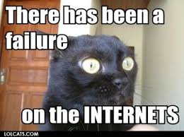 internet cat.png