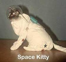 space kitty.png