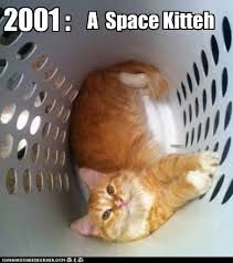 space kitteh.jpg