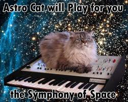 astro cat.jpg