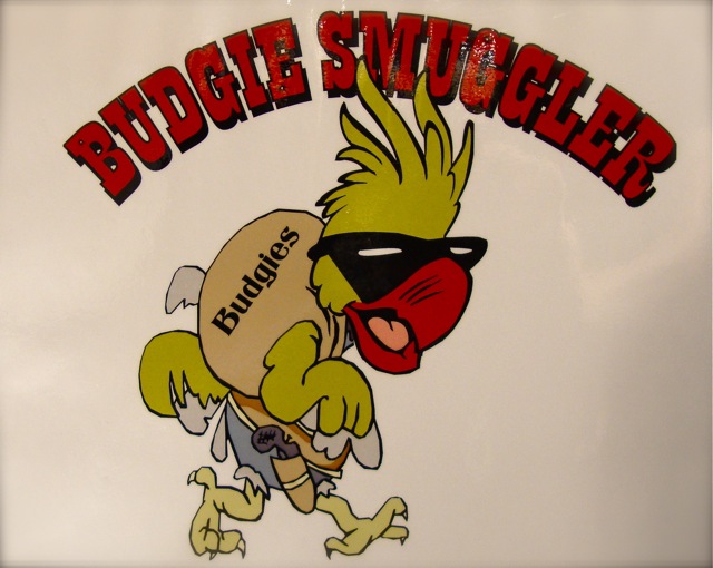 budgie smugglers ebay