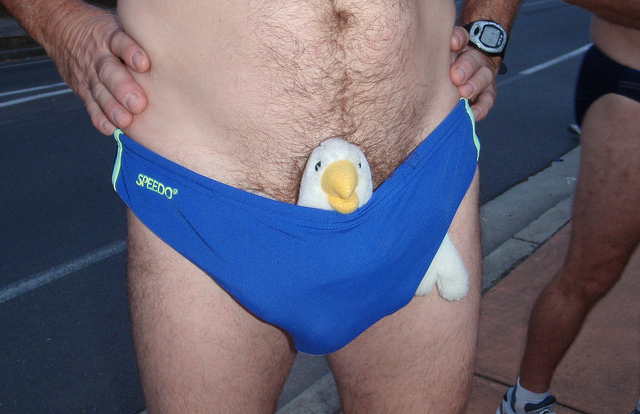 budgie smugglers ebay