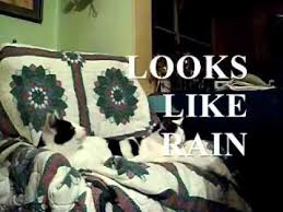 rain.jpg