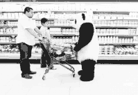 panda-4-update-supermarket-fight.gif