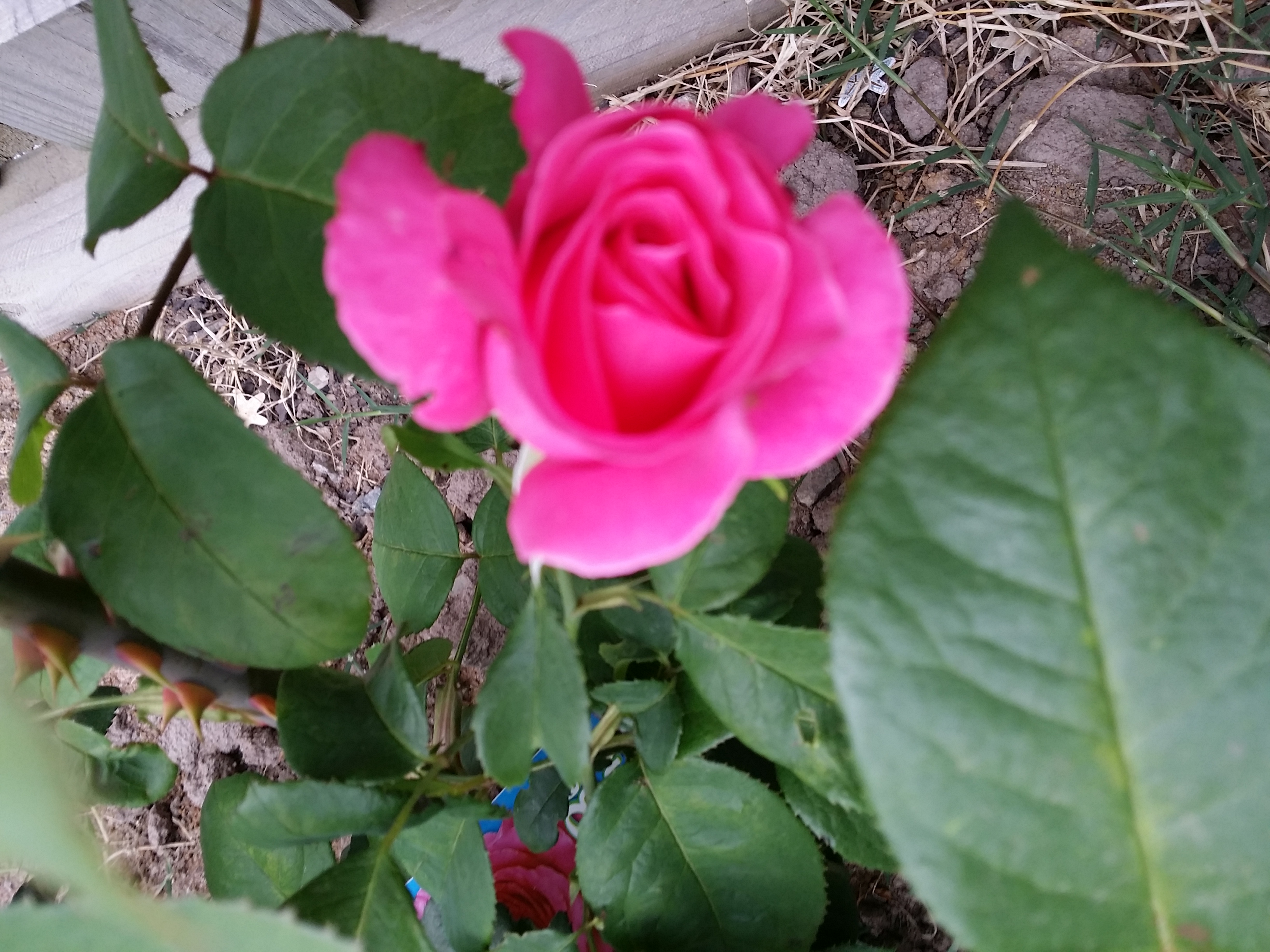 20141110_075541.jpg