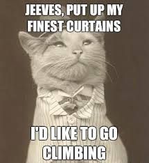 jeeves.jpg