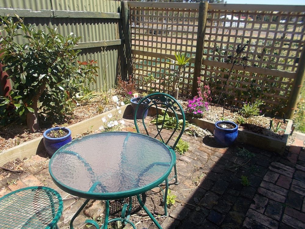 DSCN1752.JPG