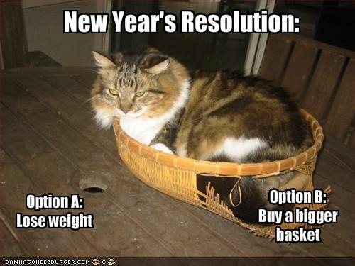 New Years lolcats.jpg