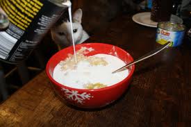 tha's no hoo ya mek porridge.jpg