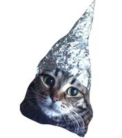 catfoil_zpsedefb57b_clipped_rev_2.jpeg