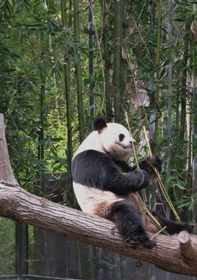 IMG_1647 - Copy.JPG