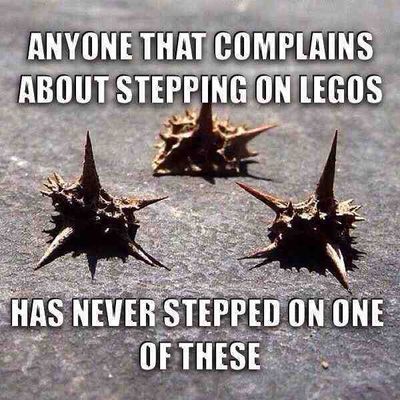 Caltrop.jpg