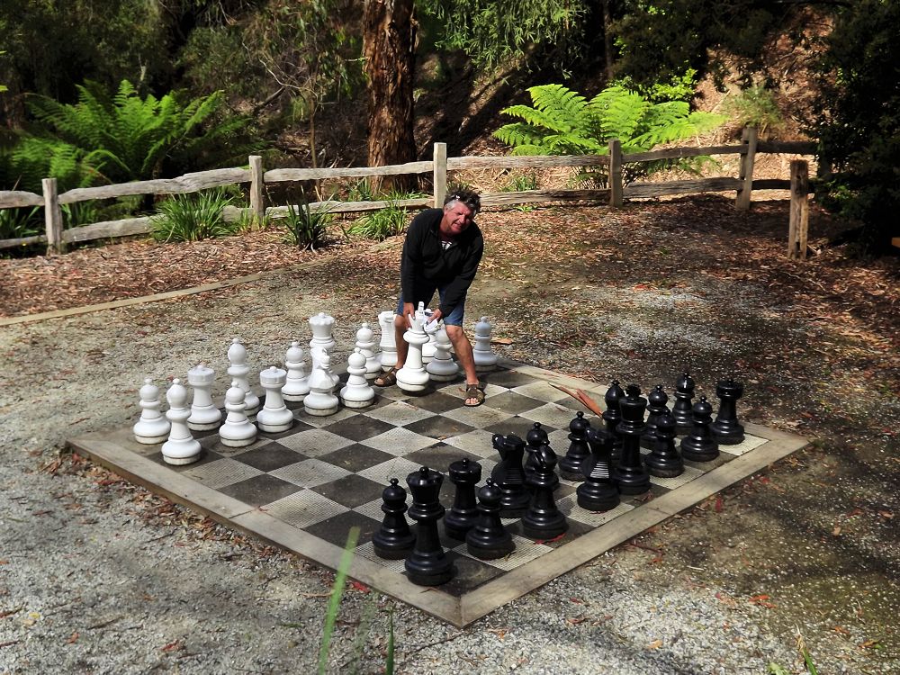 chess.jpg