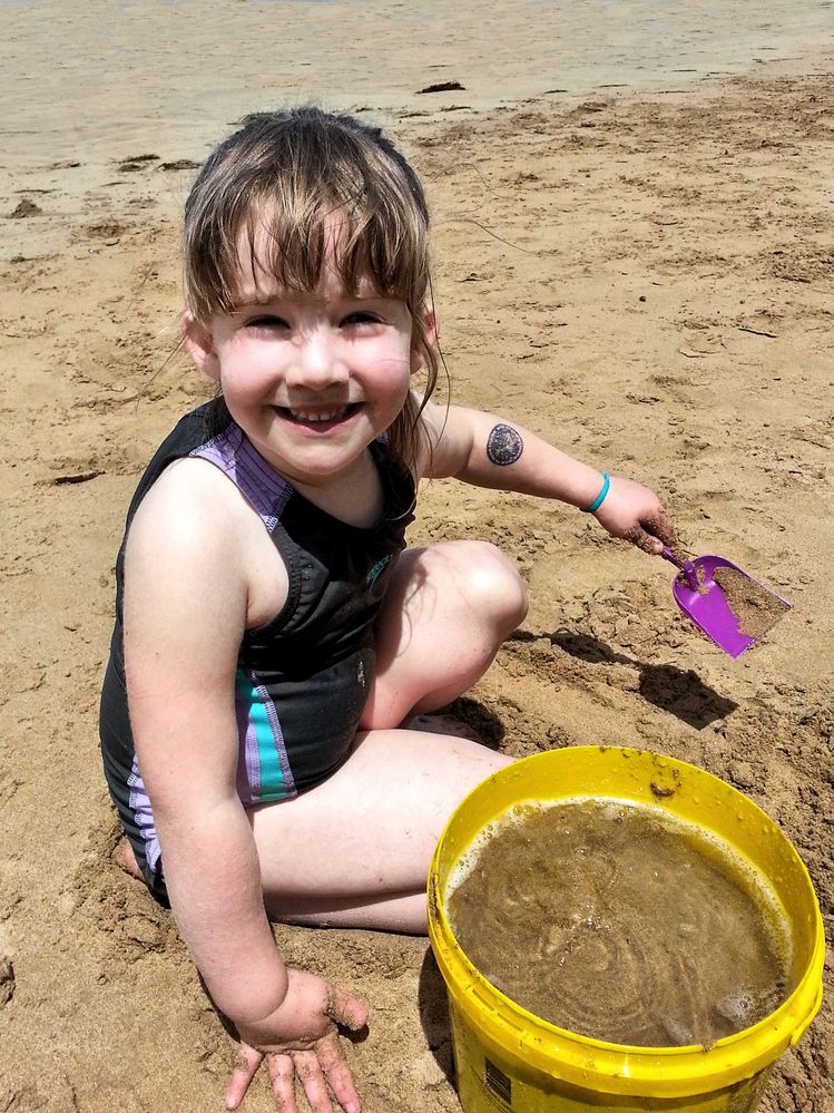phone 207beach.jpg