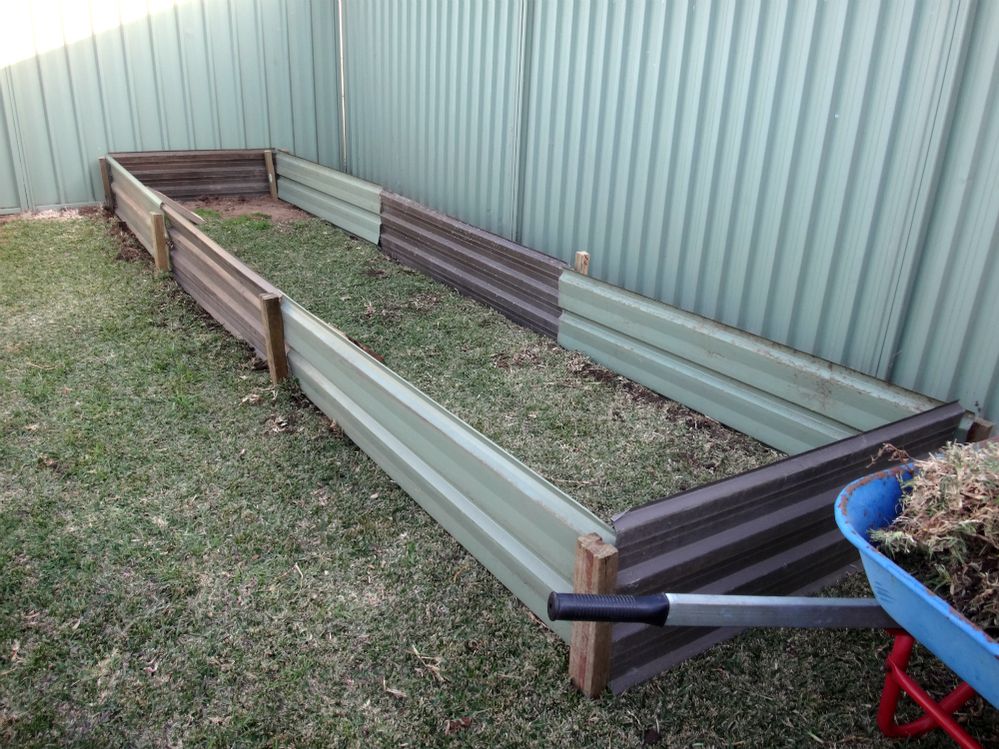 new garden.jpg
