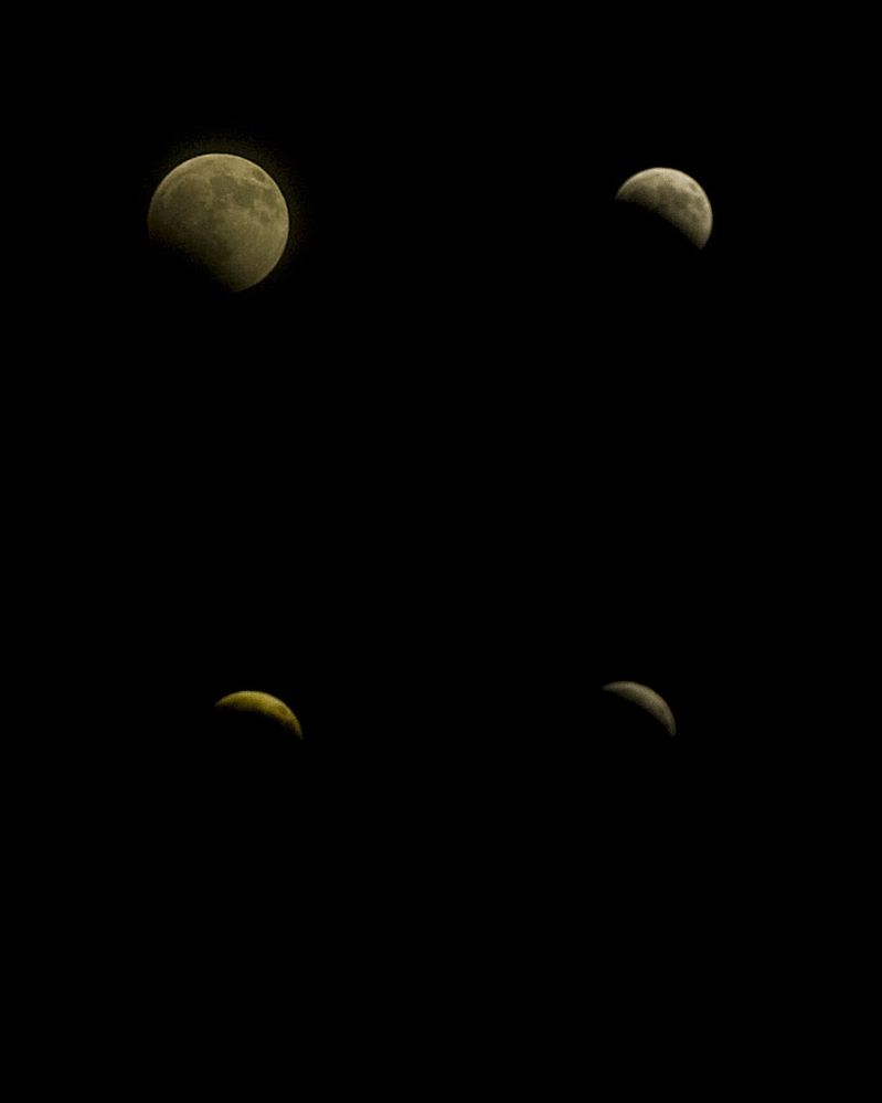 eclipse2010.jpg