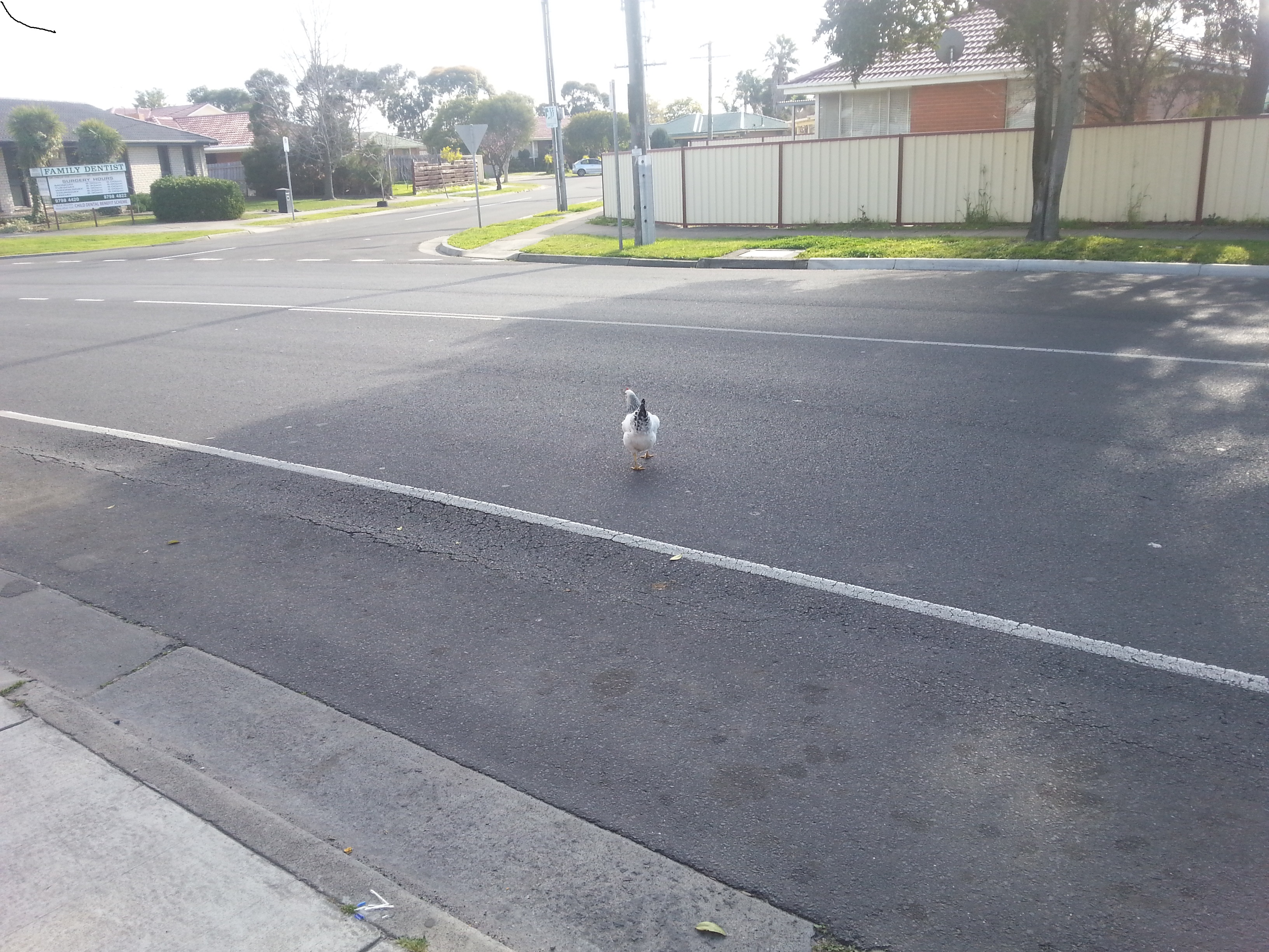 20150902_094014.jpg