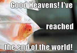 end of world goldfish.jpg