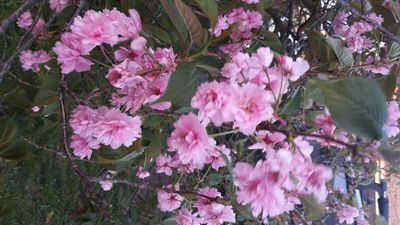20151007_191106.jpg