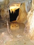 Naracorte Alexadria cave-reflection.jpg