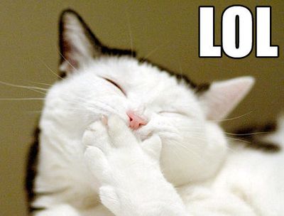 lol_cat12926-1.jpg