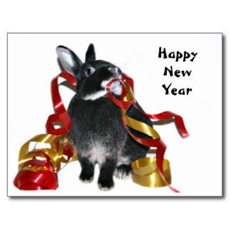 happy_new_year_bunny_postcard-rfe152fadcc674ca8a587c579604197b8_vgbaq_8byvr_324 (1).jpg