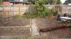 Backyard 22.JPG