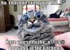 no-i-havent-seen-your-lsd.jpg
