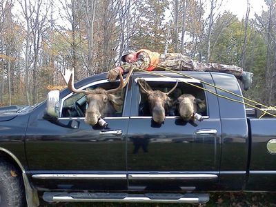 Hunter Hunting Moose.jpg